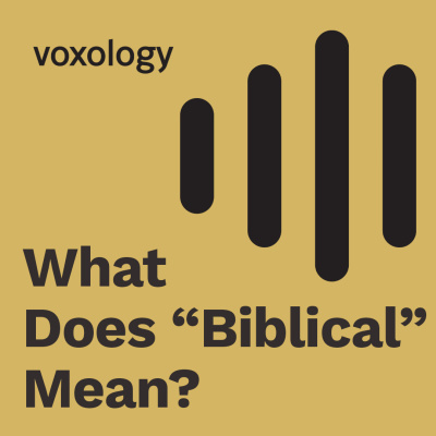 Vox Podcast With Mike Erre