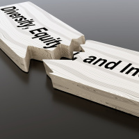 What would Sheletta say to people who say DEI is wrong?