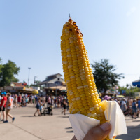 Chad Hartman has arrived.. the Minnesota State Fair can officially start!