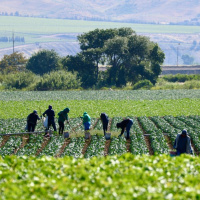 If American farms are struggling for workers thats bad news for all of us