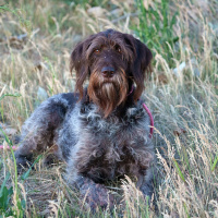 Chuck Delaney from Game Fair on the joy of the outdoors