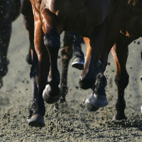Canterbury Park Owner Randy Sampson on the season opener