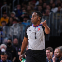 Are officials really biased?