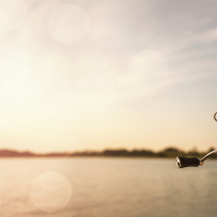 Steve Carney from Steve Outdoors on where the fish are biting