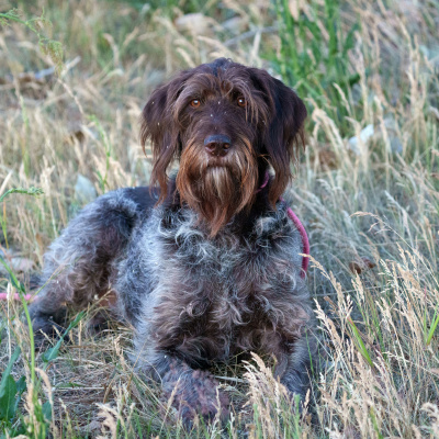 Sports To The Max With Mike Max