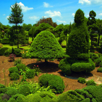 Pearl Fryar ~ WSJ, A Man Named Pearl, Inspiring Goodwill thru His Famous Art Topiary Garden