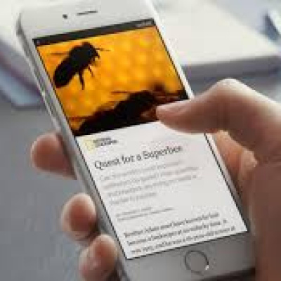 Artículos Lauralopezlillo.com