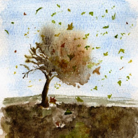 Foglia confusa, una poesia di Marcia Theophilo