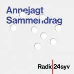 Annejagt - Sammendrag