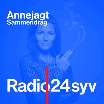 Annejagt - Sammendrag