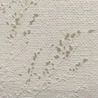 Morning After (l. 1-6) by Langston Hughes read by Sukaina Kubba