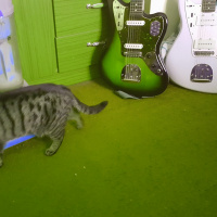 Aye That Beckett by Tuli Kupferberg read by John McKeown