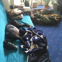 Failures In Infinitives by Bernadette Mayer read by Erica Eyres