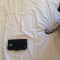 A Supermarket In California by Allen Ginsberg read by Kari Stewart