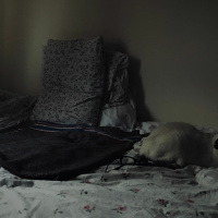 February by Margaret Atwood read by Ela Orleans