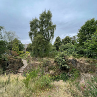 Buying Oranges by Bertolt Brecht read by Daisy Lafarge