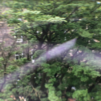 What Kind of Times Are These and Planetarium by Adrienne Rich read by Alison Scott