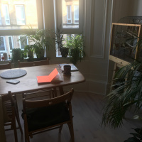 C’est La Vie by Audun Mortensen read by Hanne Lillee