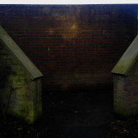 Godwit/Kuaka read by Scott Rogers