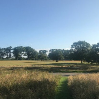 Messengers by Louise Glück read by Sophie Crichton Stuart