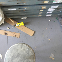 The Horses by Ted Hughes read by Joanne Tatham