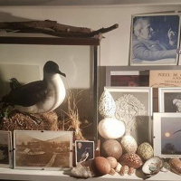 O, Sun! by Neil Miller Gunn read by The Lonely Piper