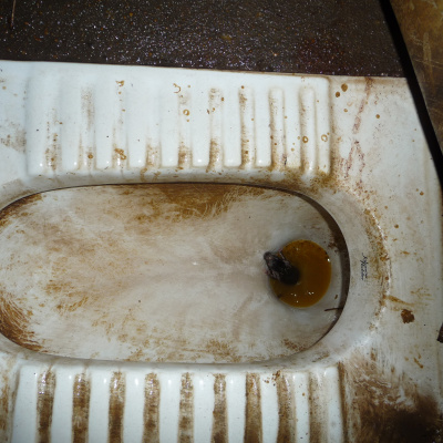 Nick  Jesse Show - Bit By Bit Podcast