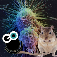 Episode 137: All in the Blood: Modeling Menstruation and Curing Multiple Sclerosis