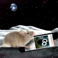 Episode 129: Memories and the Moon