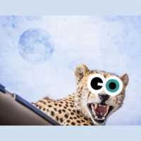 Episode 49: Moon walking cheetahs