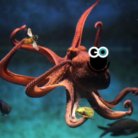 Episode 240: Hugging Octopuses, Burrowing Bees, and Blistering Beetles