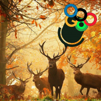 Episode 97: Three Trillion Trees, 10,000 Teds, and One Scaling Law to Rule Them All