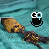 Episode 217: Biology that’s out of this world