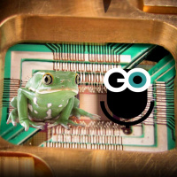 Episode 167 Rebroadcast: Football, Frogs, and Physics