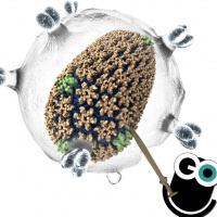 Episode 126: Battles: Bronze Age War and New Weapons Against HIV