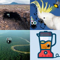 Episode 310: Recap – Dancing parrots, Snowball Earth, and limoncello