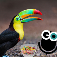 Episode 188: Metamemory and Antibiotics