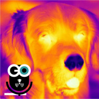 Episode 308: Dogs That “See” Heat, New York Rats, and a Coronavirus Update