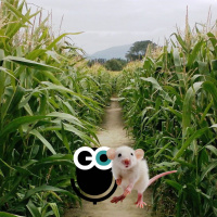 Episode 235: Finding Food