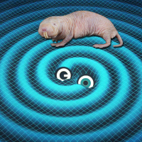 Episode 120: Catching Gravitational Waves