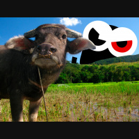 Episode 46: Biologist-fall