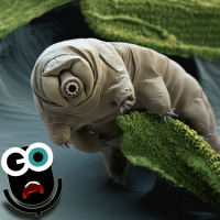 Episode 152: Some Ig Noble Tardigrades and Planck’s Constant