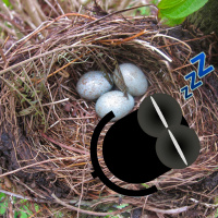 Episode 149: Sex, Drugs, and Goggles Optional