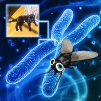 Episode 132 Rebroadcast: DNA Data Download