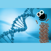 Episode 186: Fire Ants and Useless DNA