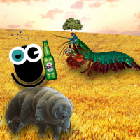 Episode 108: Gobbles Optional