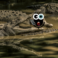 Episode 223: Lions, Tigers, Bears, and Hypnotized Phones