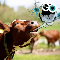 Episode 92: Forgetting Ebola