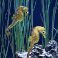 Episode 312: Safety Goggles – Plants, pregnancy, and model organisms