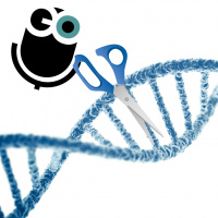 Episode 275: CRISPR through the years